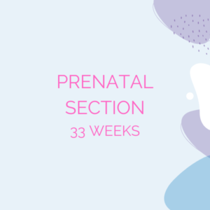 The woman’s rights during her pregnancy and her delivery